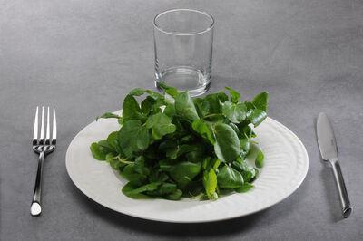 Cresson de fontaine, cru